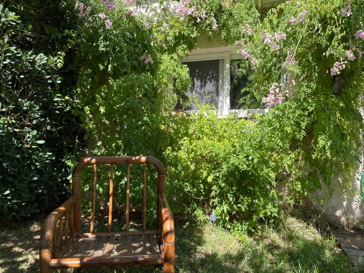 The Garden House Apartman Daszkalió Kültér fotó